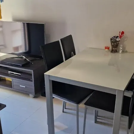 Holiday Studio *
