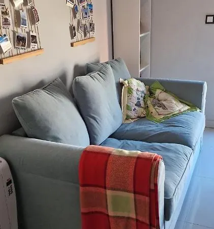 Holiday Studio 데니아